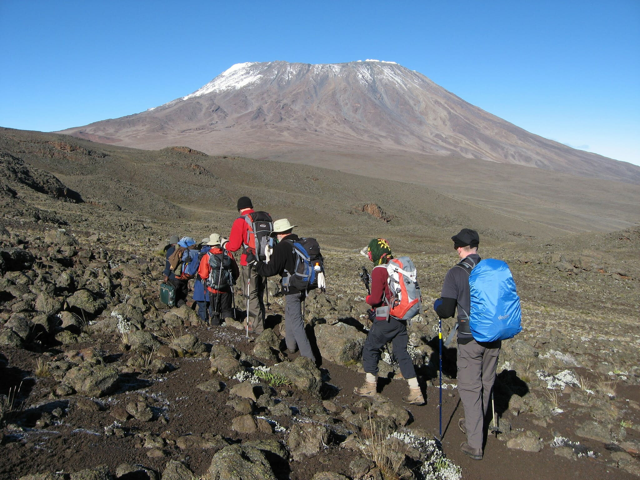 Kilimanjaro Climbing - Amshar Serengeti Adventures